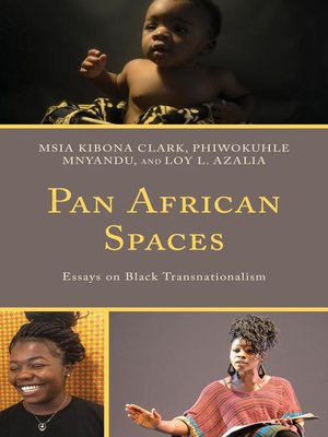 cover image of Pan African Spaces